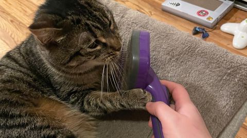 Hertzko Self Cleaning Slicker Brush