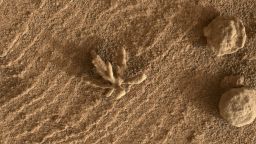 Smaller than a penny, the flower-like rock artifact on the left was imaged by NASA's Curiosity Mars rover using its Mars Hand Lens Imager (MAHLI) camera on the end of its robotic arm. The image was taken on Feb. 24, 2022, the 3,396th Martian day, or sol, of the mission. The "flower," along with the spherical rock artifacts seen to the right, were made in the ancient past when minerals carried by water cemented the rock. 