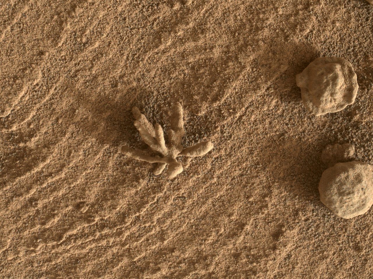 bodem ventilatie creëren Tiny 'flower' formation spotted on Mars by Curiosity rover | CNN