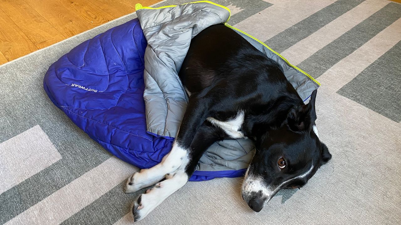 Ruffwear Highlands Dog Sleeping Bag