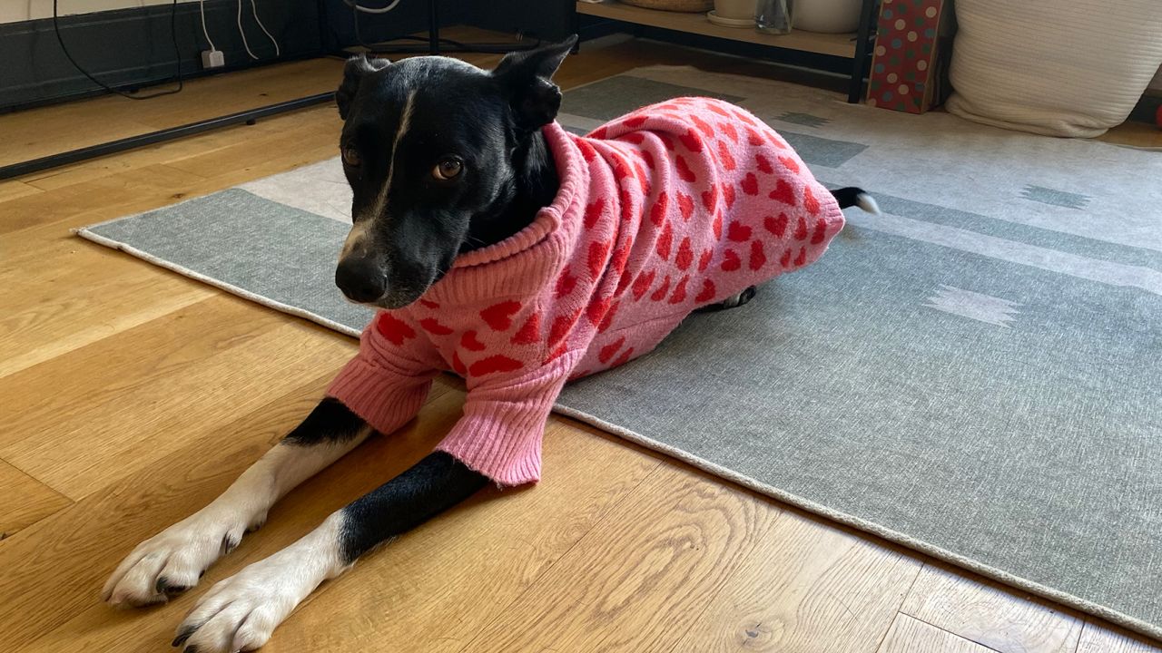 Little Beast The Love Sweater