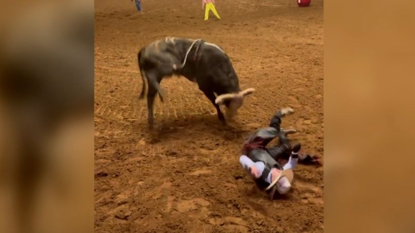 cody hooks bull texas rodeo