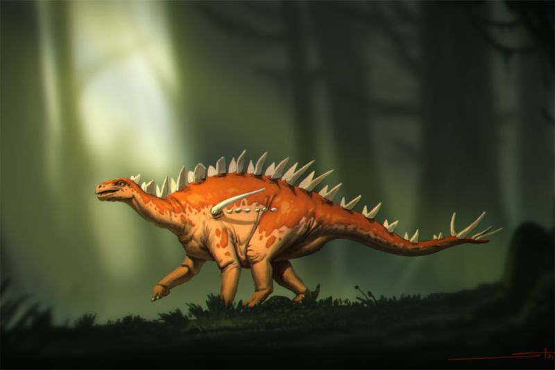 Dinosaur Fossil Discovery May Be The Oldest Stegosaur Ever Found | CNN