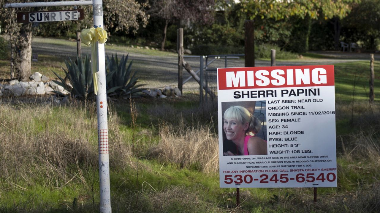 The November 2016 disappearance of Sherri Papini led to a massive search for her whereabouts in California.