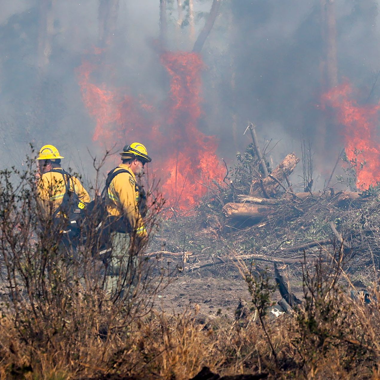 Florida Panhandle wildfires: Thousands of acres near Panama City are  torched as flames spread | CNN