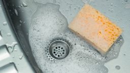 A kitchen sponge is the perfect environment to host various types of bacteria.