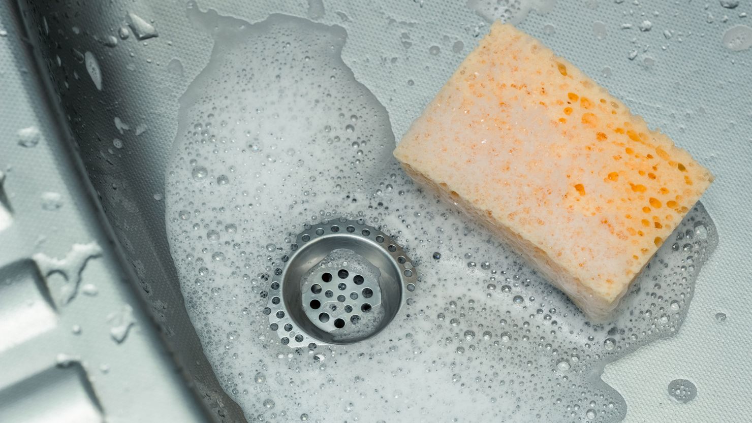 Kitchen sponges: 5 remedies to sterilize them and free them from germs and  bacteria
