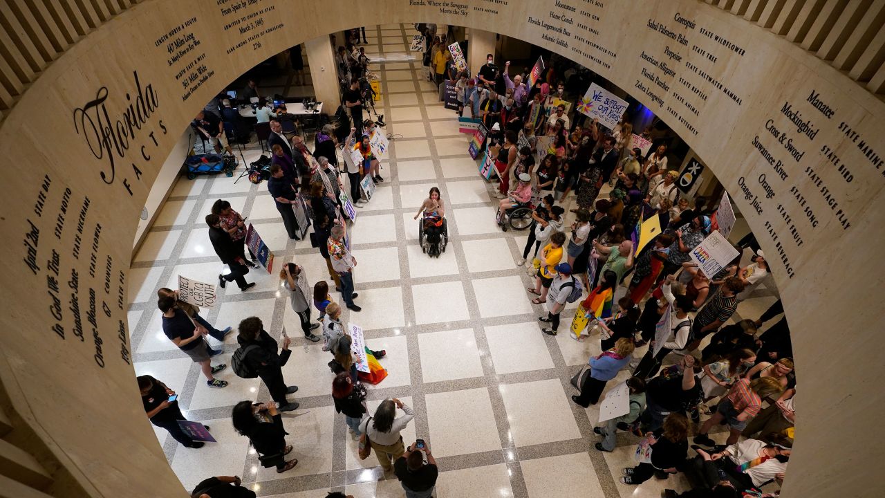 Demonstrators protest against the legislation dubbed by opponents as the "Don't Say Gay" bill inside the Florida State Capitol on March 7, 2022, in Tallahassee.