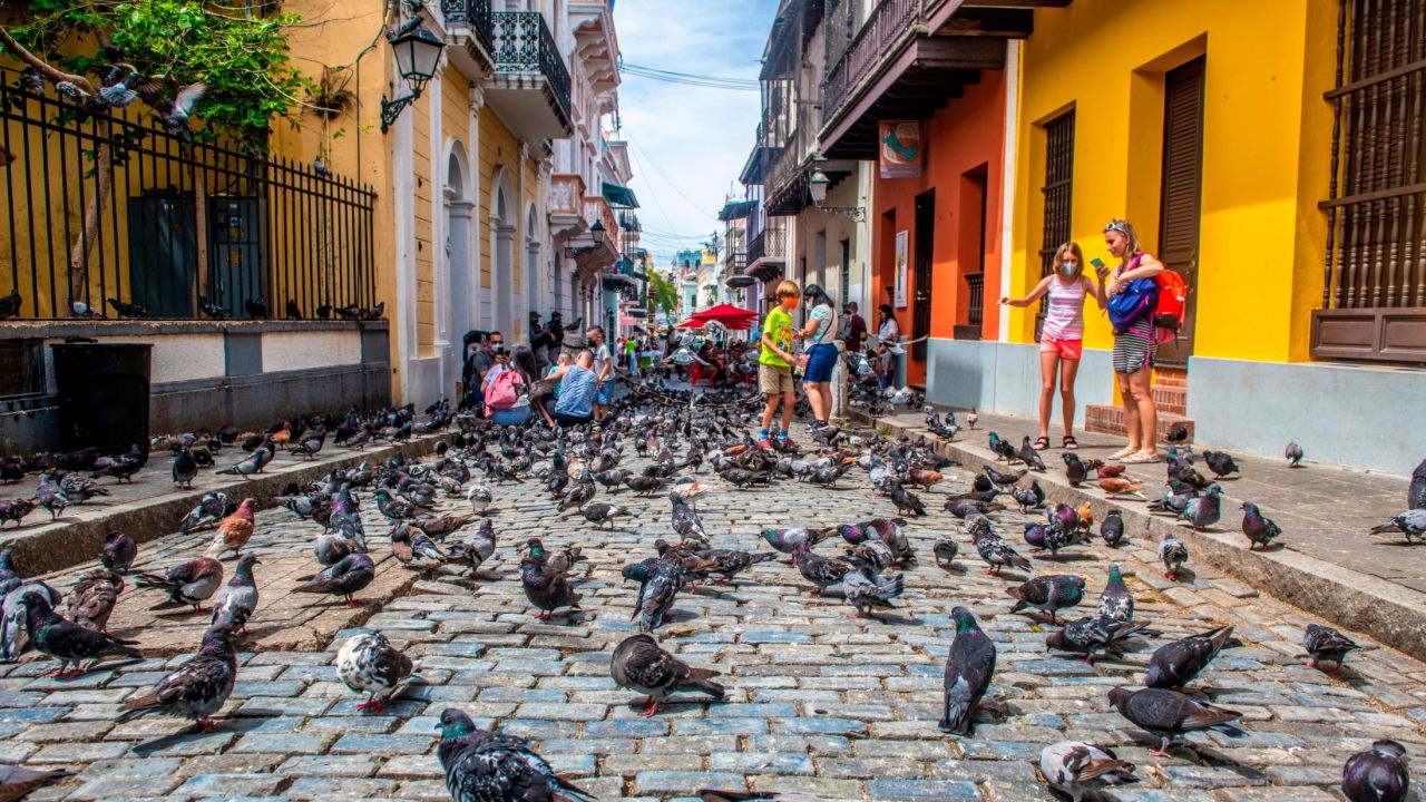 Pigeons crowd the streets of Old San Juan as onlookers observe on April 6, 2021.  - 