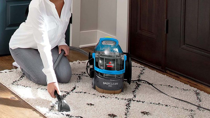 best carpet cleaning solution for dog poop