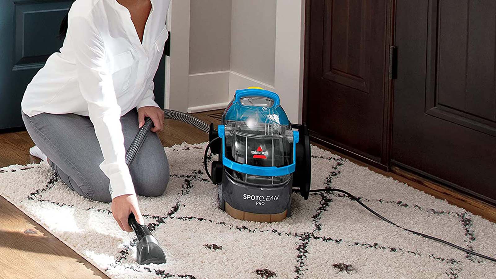 Cool Cleaning Gadgets for Pet Owners