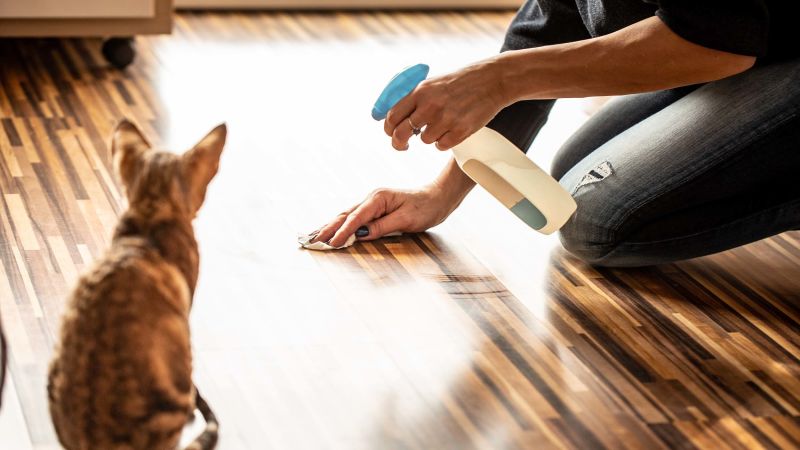 Best cleaning products hot sale for dog owners