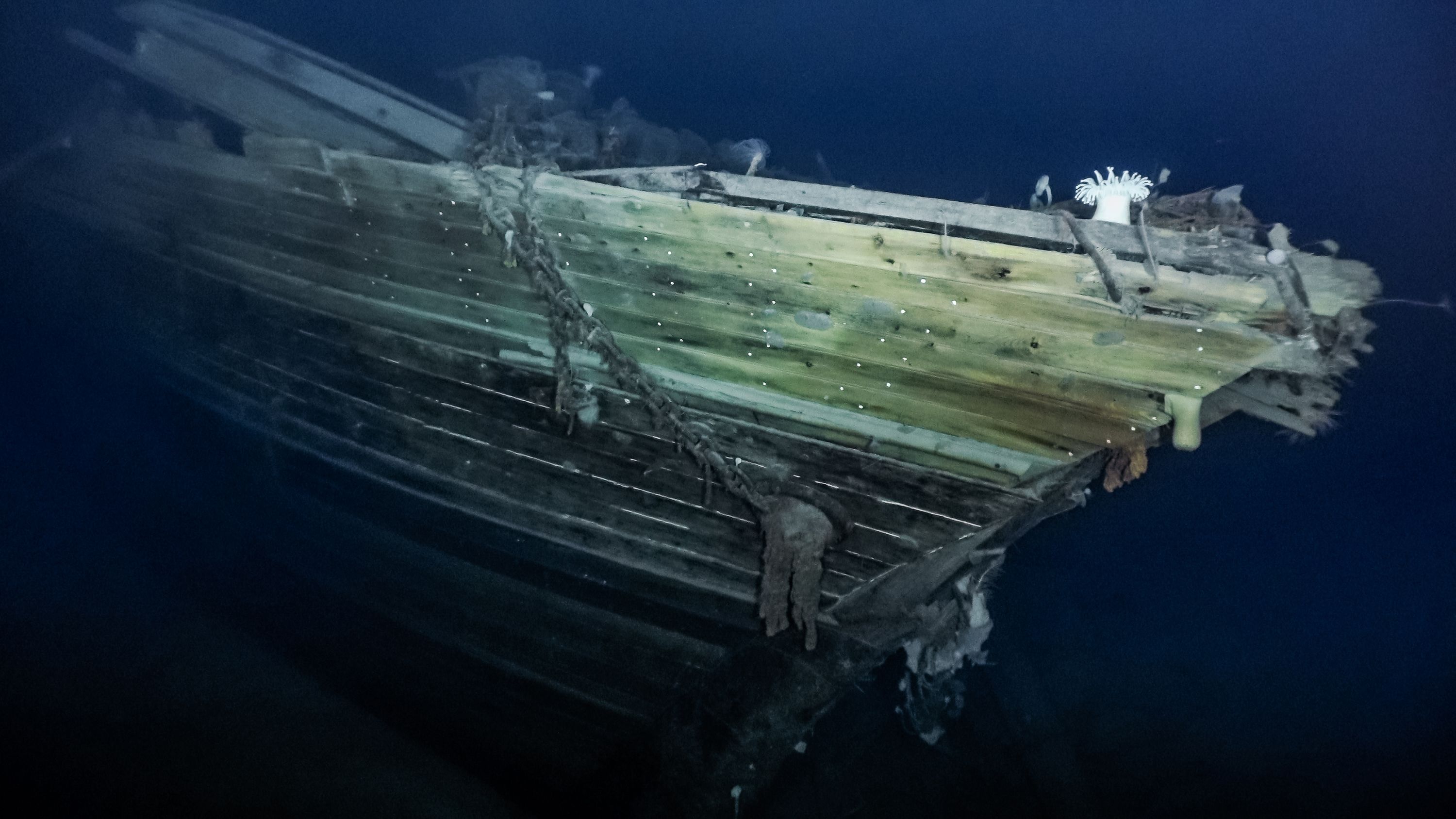 <strong>Starboard:</strong> A crew of scientists, explorers, historians and filmmakers located the shipwreck.