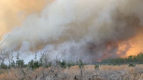 The Bertha Swamp Road Fire in the Florida Panhandle has swelled to more than 33,000 acres.