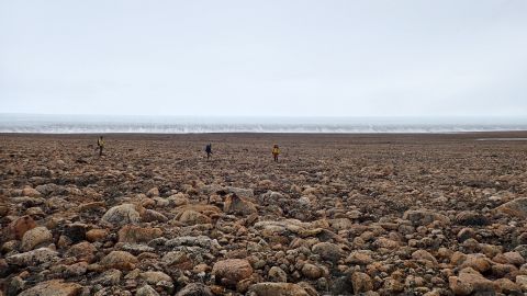 Los investigadores recolectaron muestras de arena y roca en Groenlandia para determinar cuándo cayó el meteorito. 