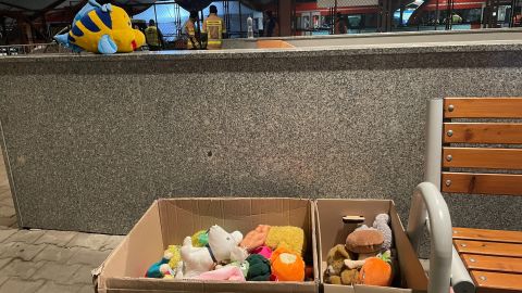 Carboard boxes filled with toys and stuffed animals await new owners.