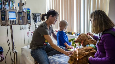 Hunter, a therapy dog, and his handler, Amanda Woelk (right), sit with Tyler Regier (center), 2, and his mother, Tina Regier (left), at Children's Mercy Hospital in Kansas City, Missouri.