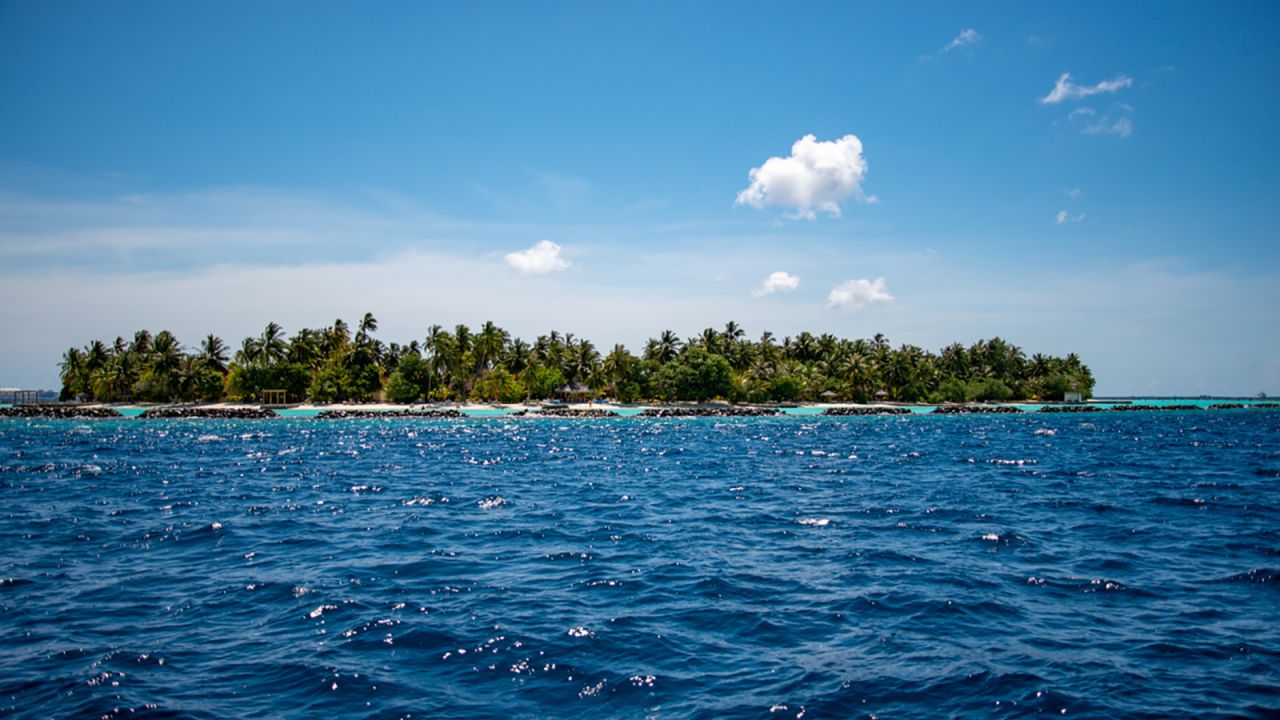The waters of the Maldives are home to a hundreds of species of fish.