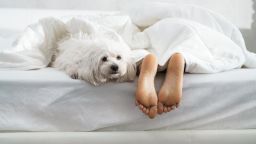 Young woman sleeping in bed with dog.
