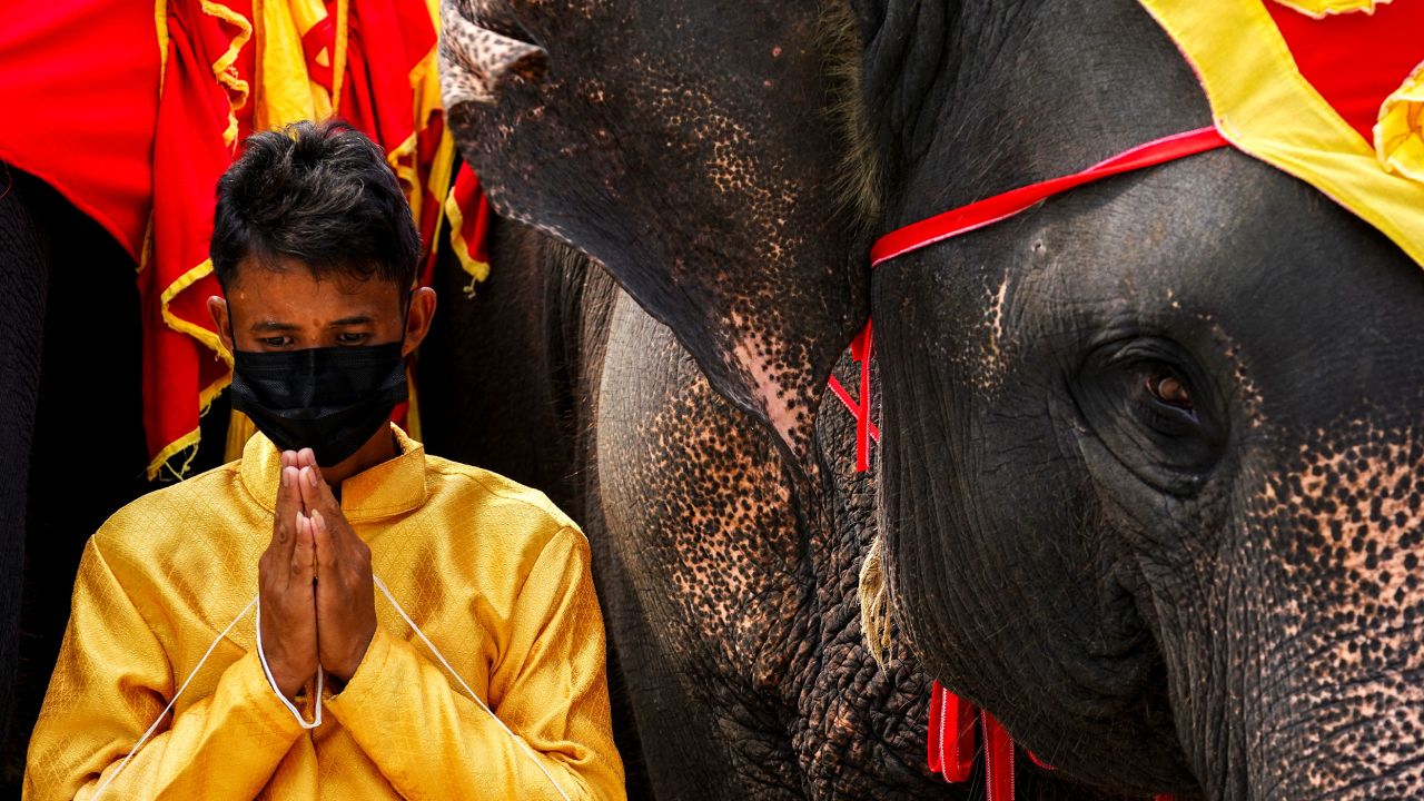 A mahout stands next to an elephant during Thailand's National Elephant Day celebration at Nong Nooch Tropical Garden in Pattaya, Thailand, March 13, 2022. 