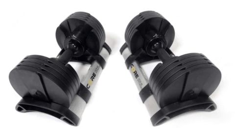 Set of adjustable dumbbell weights