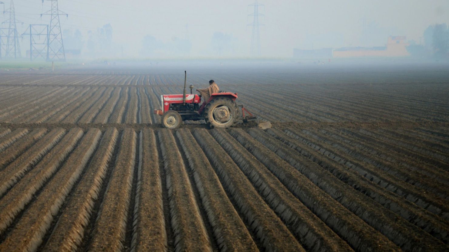 An Indian farm worker plows a field on the outskirts of Jalandhar, in the state of Punjab, February, 2018. 
