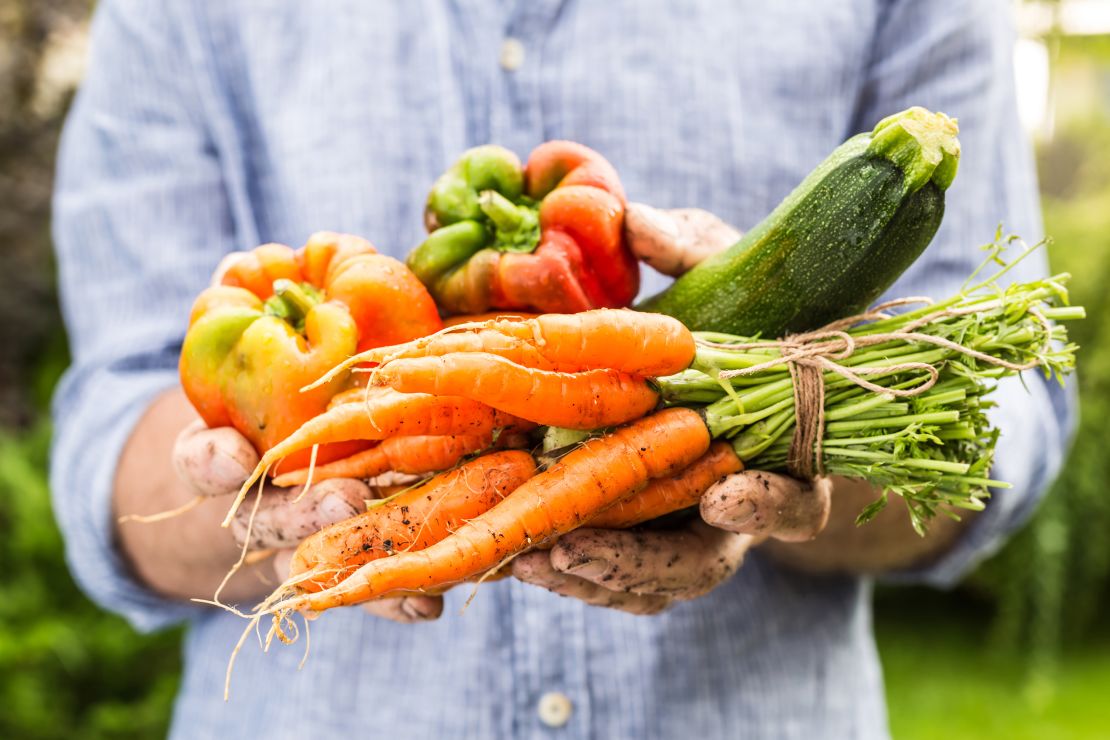 New technology can't substitute general nutrition principles such as eating more healthy plant foods.