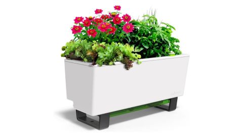 Glowpear Self-Watering Mini Bench Planter