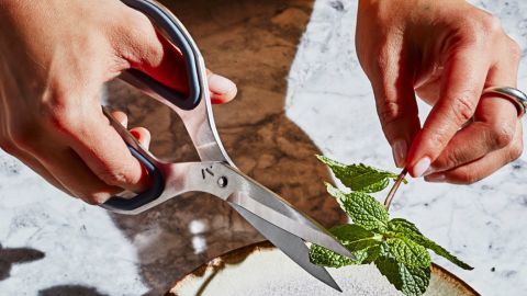 The Good Shears