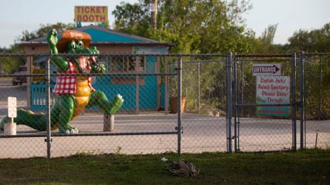 Tiger attack at Florida Everglades attraction injures employee | CNN