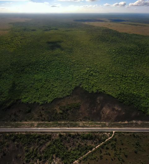 One critical area of habitat in Belize is the Maya Forest Corridor, which connects the country's two largest wilderness areas. Jaguars use it to cross north to Mexico or south to Guatemala. In the past decade, deforestation has reduced the size of the Maya Forest Corridor by more than 65%, according to the <a href="https://newsroom.wcs.org/News-Releases/articleType/ArticleView/articleId/12500/Global-Conservation-Organizations-Applaud-Government-of-Belize-for-New-Commitment-to-Protect-Central-Americas-Largest-Highly-Imperiled-Forest.aspx" target="_blank" target="_blank">Wildlife Conservation Society</a>.