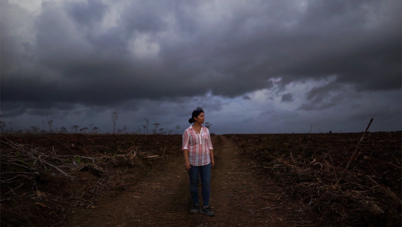 Elma Kay is an ecologist and director of the Belize Maya Forest Trust. She has witnessed increased deforestation over the last decade as land is cleared for sugarcane plantations and other crops. Now she is working closely with local communities to protect the area from further development.