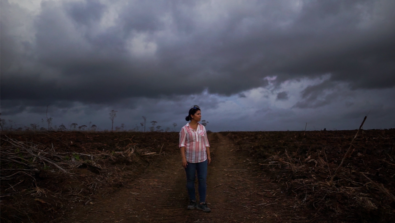 Elma Kay is an ecologist and director of the Belize Maya Forest Trust. She has witnessed increased deforestation over the last decade as land is cleared for sugarcane plantations and other crops. Now she is working closely with local communities to protect the area from further development.