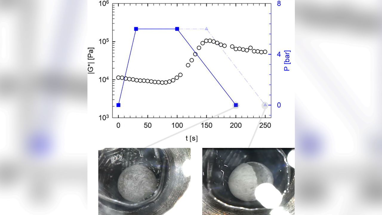 The bottom images show the yeast-free dough at different stages of pressurization.