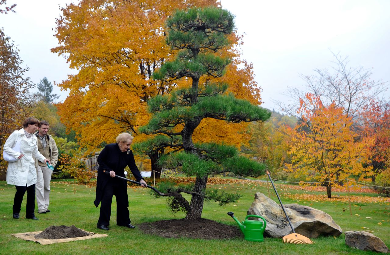 Albright helps plant a tree at a botanical garden in her native city of Prague, Czech Republic, in 2012.