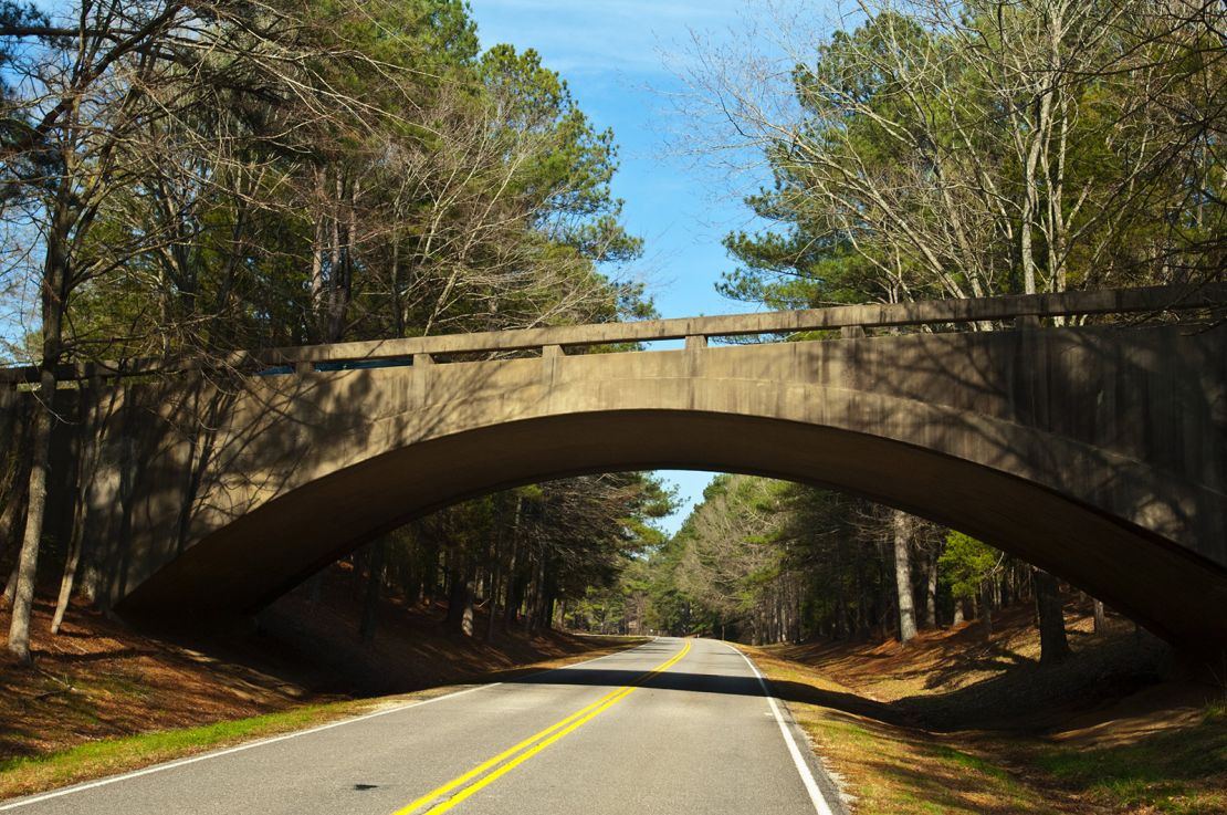 Much of the Natchez Trace Parkway runs through Mississippi, making this a good option for a road trip if you're already in the Deep South.