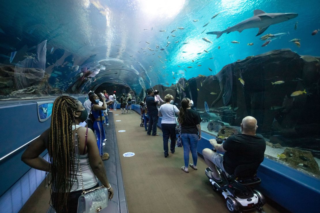 No car required! The Georgia Aquarium is not far from Atlanta's MARTA train system. Plus, this area is often congested with road traffic.