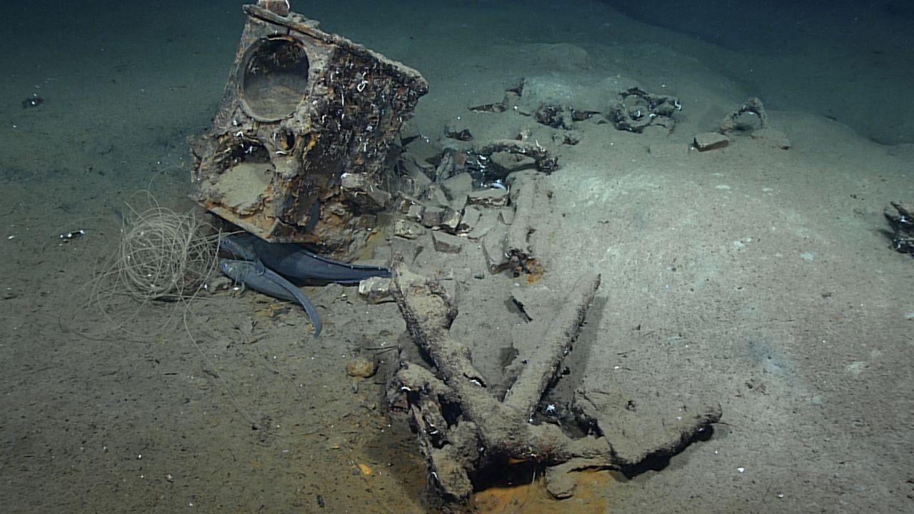 During Dive 02 of the 2022 ROV and Mapping shakedown, we explored the wreck of what is likely an 19th century whaler. Seen here are the remains of the ship's tryworks, a furnace that was used to render whale blubber into oil, and an anchor, as well as two fish that resemble a species commonly associated with shipwrecks.