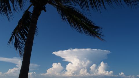 Hector's towering cumulonimbus cloud top, seen from Darwin, Australia in 2015.