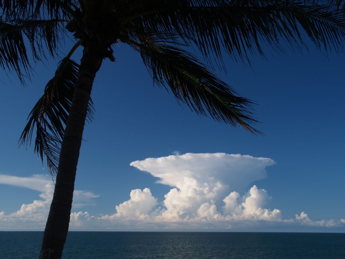 Hector's towering cumulonimbus cloud top, seen from Darwin, Australia in 2015.