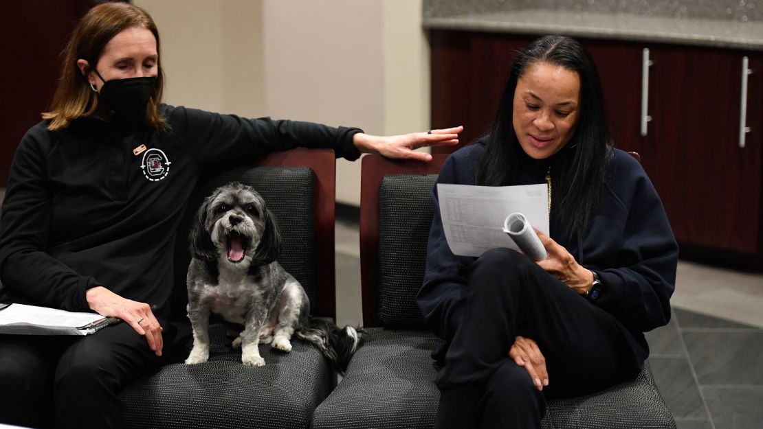 Dawn Staley and South Carolina agree to seven-year, $22.4 million