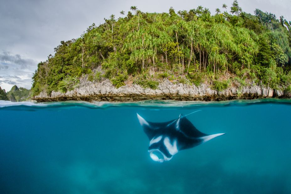 Heinrichs grew up by the ocean in South Africa. He says that a connection with the ocean makes him feel alive. "That energy and excitement when I look down in the water or even see the wings of a giant manta ray pod beneath me -- that is always calling to my heart."