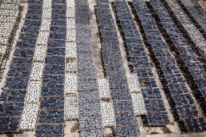 By using powerful imagery, such as this photograph of a shark fin market in Asia, Heinrichs motivates people to protect marine ecosystems. 