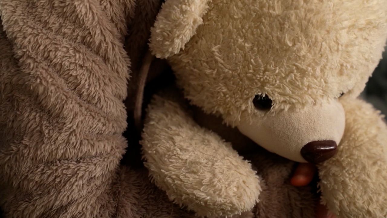 teddy bear ukrainian refugees abdelaziz pkg