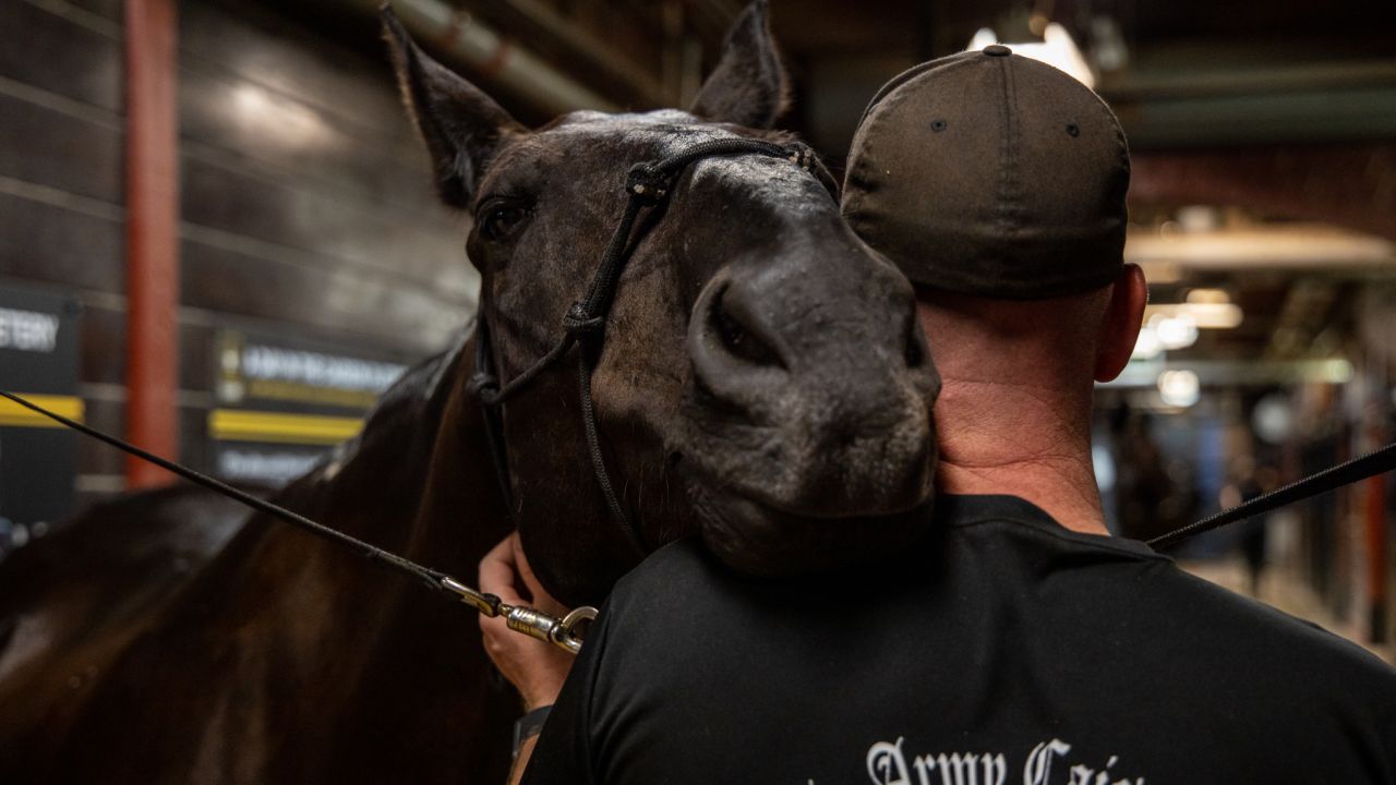 Soldiers prepare the horses and themselves to render final honors for fallen service members at Joint Base Myer-Henderson Hall, Virginia, August 19, 2020.