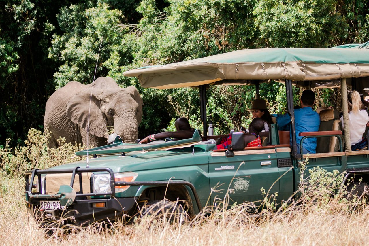 Jeeps are often surrounded by breeding herds of elephants.