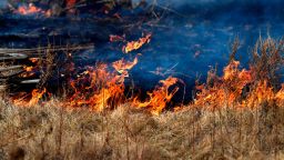 FILE - Fire burns into dry grass near West Highway 80 in Abilene, Texas, March 17, 2022.  (Ronald W. Erdrich/The Abilene Reporter-News via AP, File)