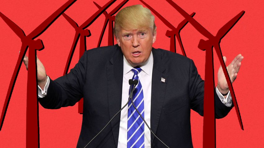 trump windmill the point