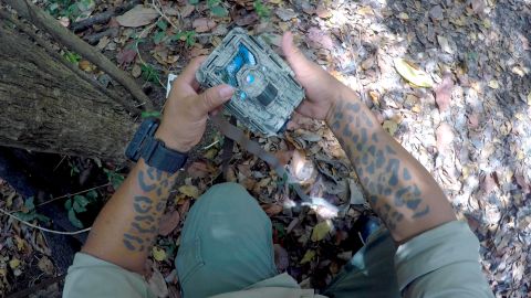 Reynold Cal places a camera trap, showing off his tattooed arms. 