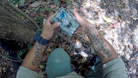 Reynold Cal places a camera trap, showing off his tattooed arms.